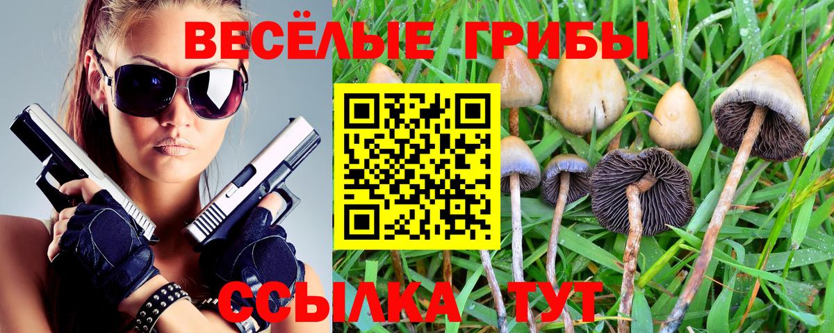 Псилоцибиновые грибы Magic Shrooms Советск