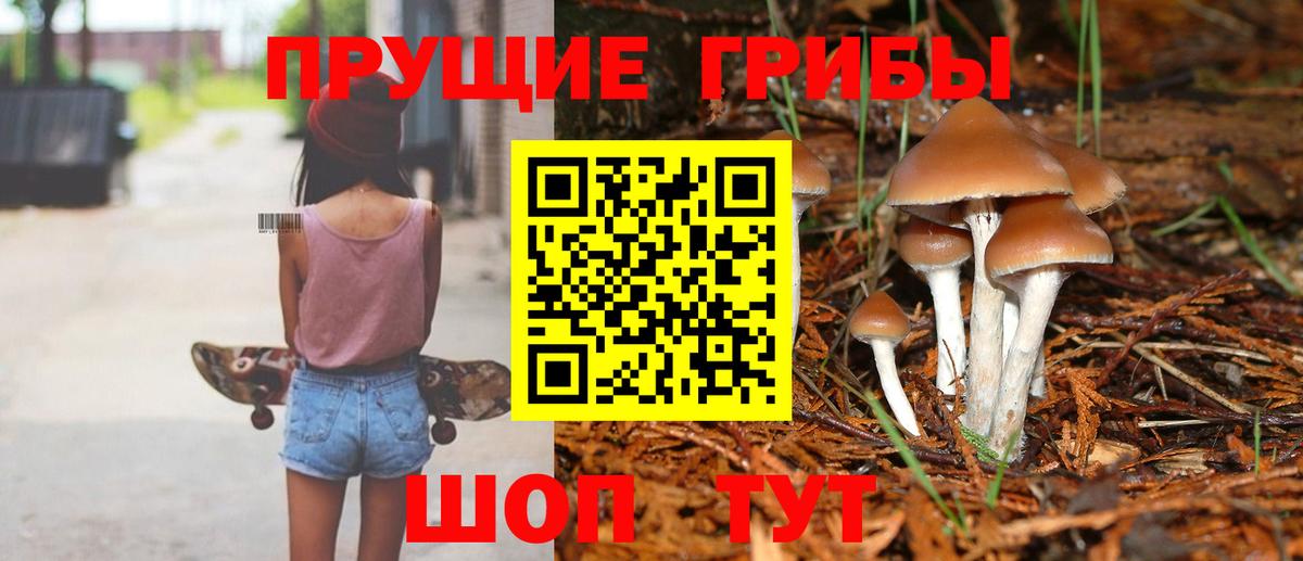 Псилоцибиновые грибы GOLDEN TEACHER  Вход с VPN  Советск 