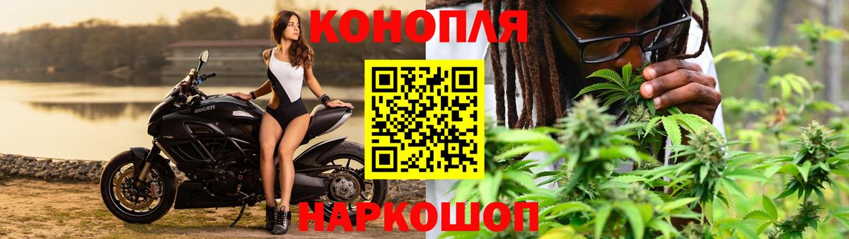 Марихуана Bruce Banner  Вход с VPN  Бошки марихуана тримм  Каннабис VHQ  Советск 